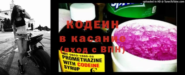 гашик Белокуриха