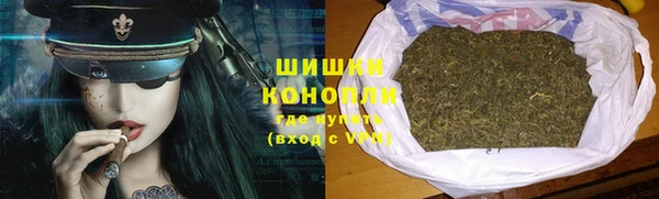 гашик Белокуриха
