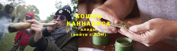 гашик Белокуриха