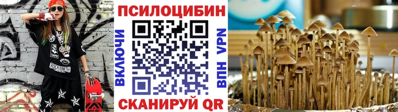 Галлюциногенные грибы Psilocybe  KRAKEN онион  Саяногорск  наркошоп 